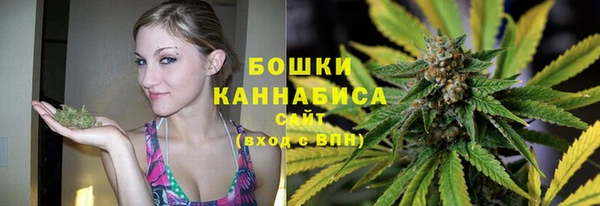 индика Верея
