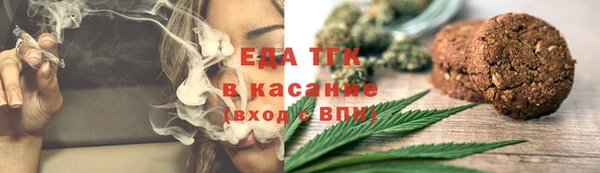 индика Верея