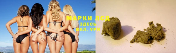 индика Верея