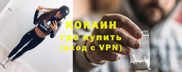 индика Верея