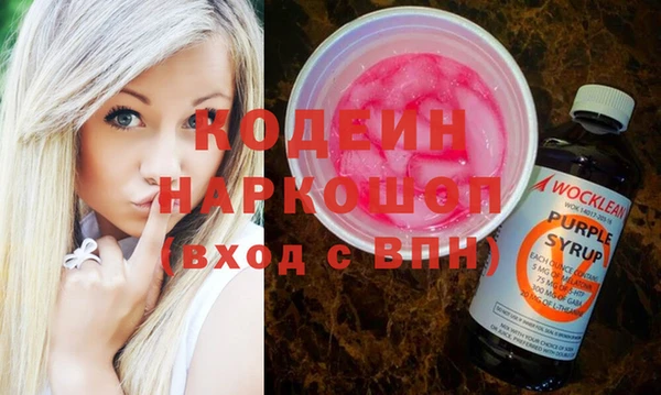 индика Верея