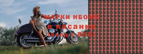 индика Верея