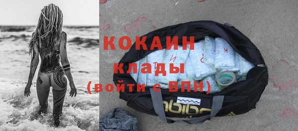 индика Верея