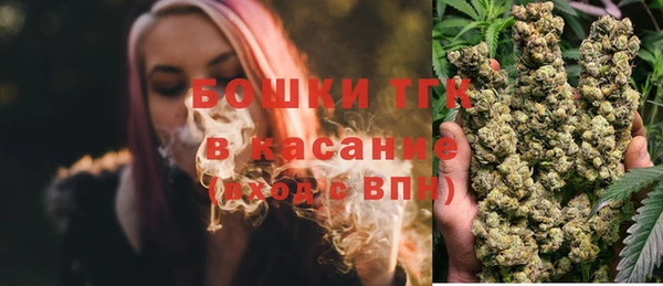 индика Верея
