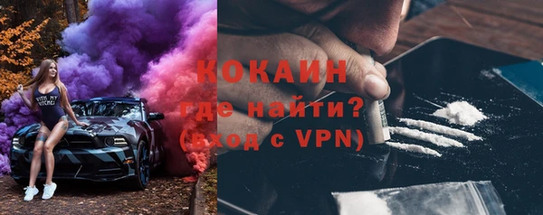 индика Верея