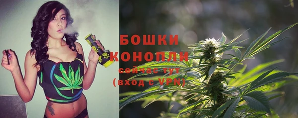индика Верея