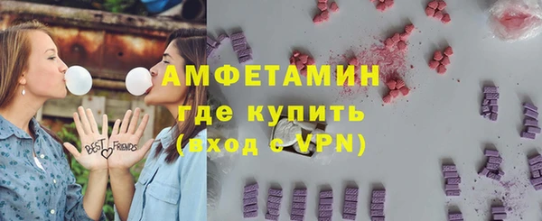 индика Верея