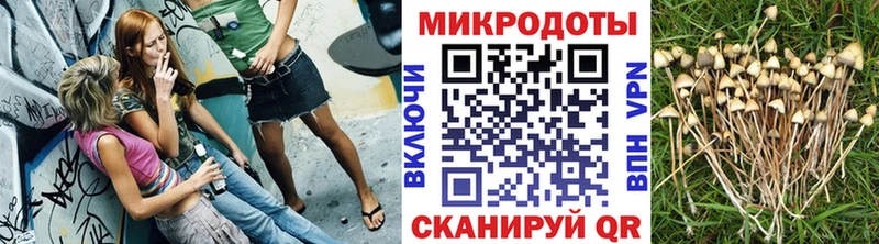 Псилоцибиновые грибы GOLDEN TEACHER  Невель 
